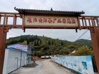 【灌阳县油茶产业示范区】一个有着充实的精神生活的人,对待身外之物自会有一种淡泊的态度 - 池州28生活网 chizhou.28life.com