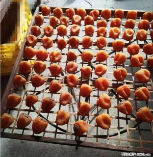 广西桂林平乐桥亭【柿饼之乡】2025年纯手工制作、无任何添加剂的第一批柿饼准备上市了，欢迎联系订购！ - 池州28生活网 chizhou.28life.com