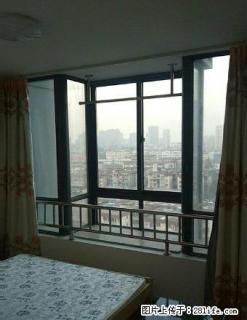 同辉广场,精装修,一室一厅,拎包入住 - 池州28生活网 chizhou.28life.com