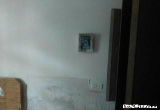 好房子好房子 又便宜又好 - 池州28生活网 chizhou.28life.com