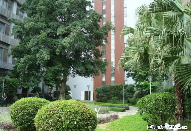 樟树湾对面 城北小区中装3房出租 多层3楼 - 房屋出租 - 房屋租售 - 池州分类信息 - 池州28生活网 chizhou.28life.com