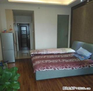 远东国际花园 精装公寓47平 家电齐全 拎包即住 - 池州28生活网 chizhou.28life.com