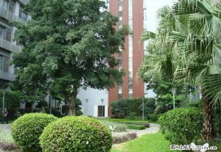 樟树湾对面 城北小区中装3房出租 多层3楼 - 池州28生活网 chizhou.28life.com