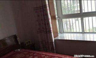 清溪苑有房出租,精装拎包即住 - 池州28生活网 chizhou.28life.com