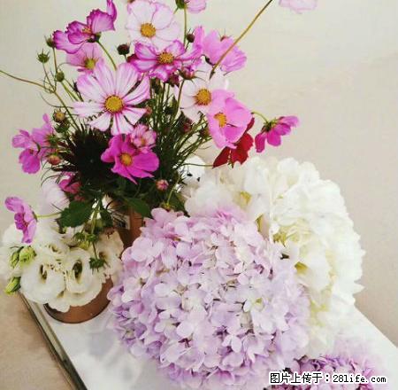 远东国际花园精装电梯公寓视野好家具电器全新1200包物业 - 房屋出租 - 房屋租售 - 池州分类信息 - 池州28生活网 chizhou.28life.com