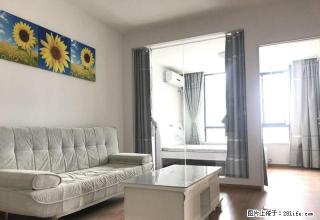 朝南单间公寓1200元。两室公寓1500元电器全新 - 池州28生活网 chizhou.28life.com