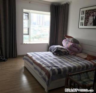 碧桂园高档小区,大户型电梯洋房,豪华装修 - 池州28生活网 chizhou.28life.com