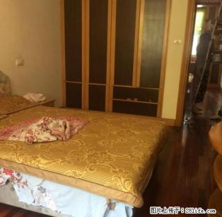 翠微苑好房对外出租,租金1200, - 池州28生活网 chizhou.28life.com