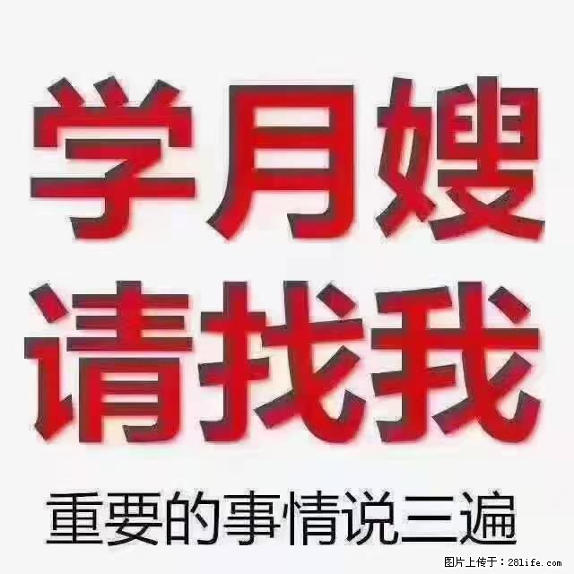 【招聘】月嫂,上海徐汇区 - 职场交流 - 池州生活社区 - 池州28生活网 chizhou.28life.com