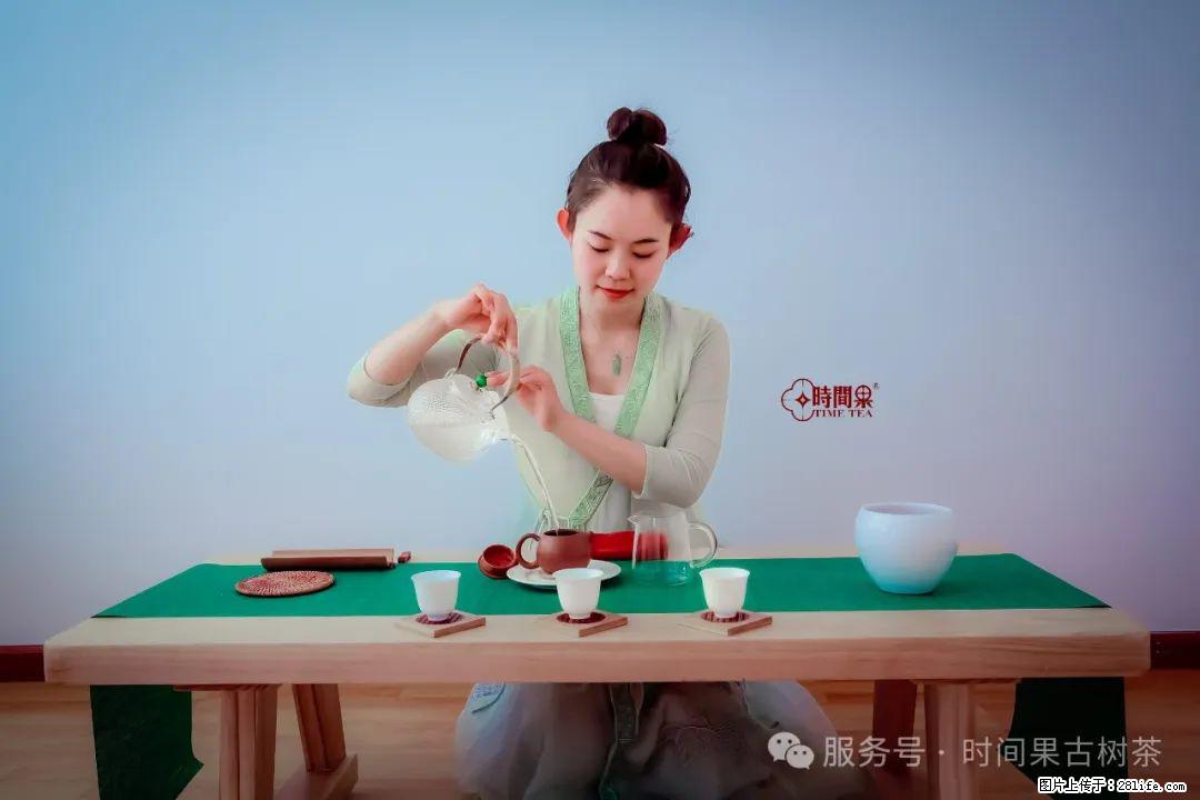 时间果百年古树龙珠普洱生茶 - 购物交流 - 池州生活社区 - 池州28生活网 chizhou.28life.com