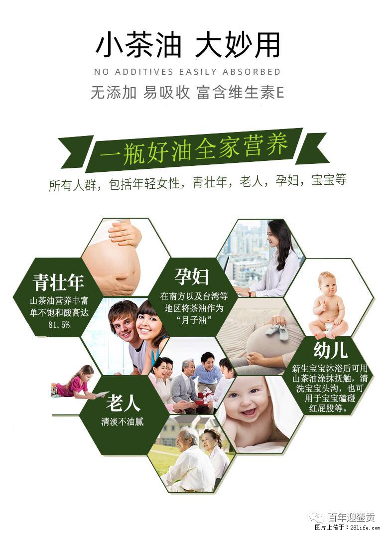 世界没有真相,只有认知,最好的食用油是中国的山茶油! - 池州生活资讯 - 池州28生活网 chizhou.28life.com