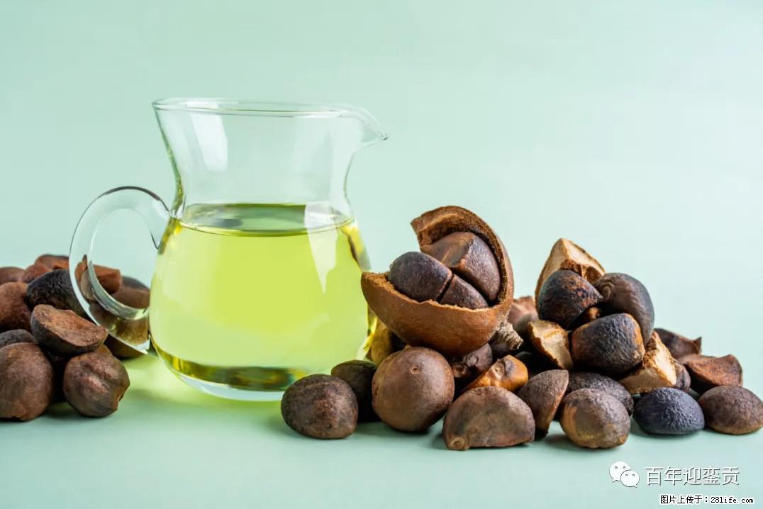 世界没有真相，只有认知，最好的食用油是中国的山茶油！ - 池州生活资讯 - 池州28生活网 chizhou.28life.com