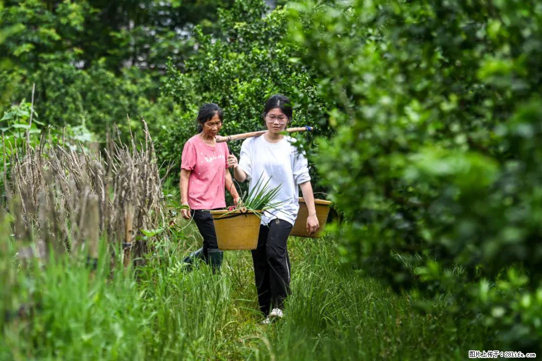 全网追的“扁担女孩”,找了一份暑假工,时薪12元 - 池州生活资讯 - 池州28生活网 chizhou.28life.com