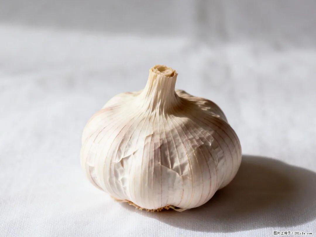 关于大蒜,除了“天然抗生素”,这4个谣言更该警惕! - 池州生活资讯 - 池州28生活网 chizhou.28life.com