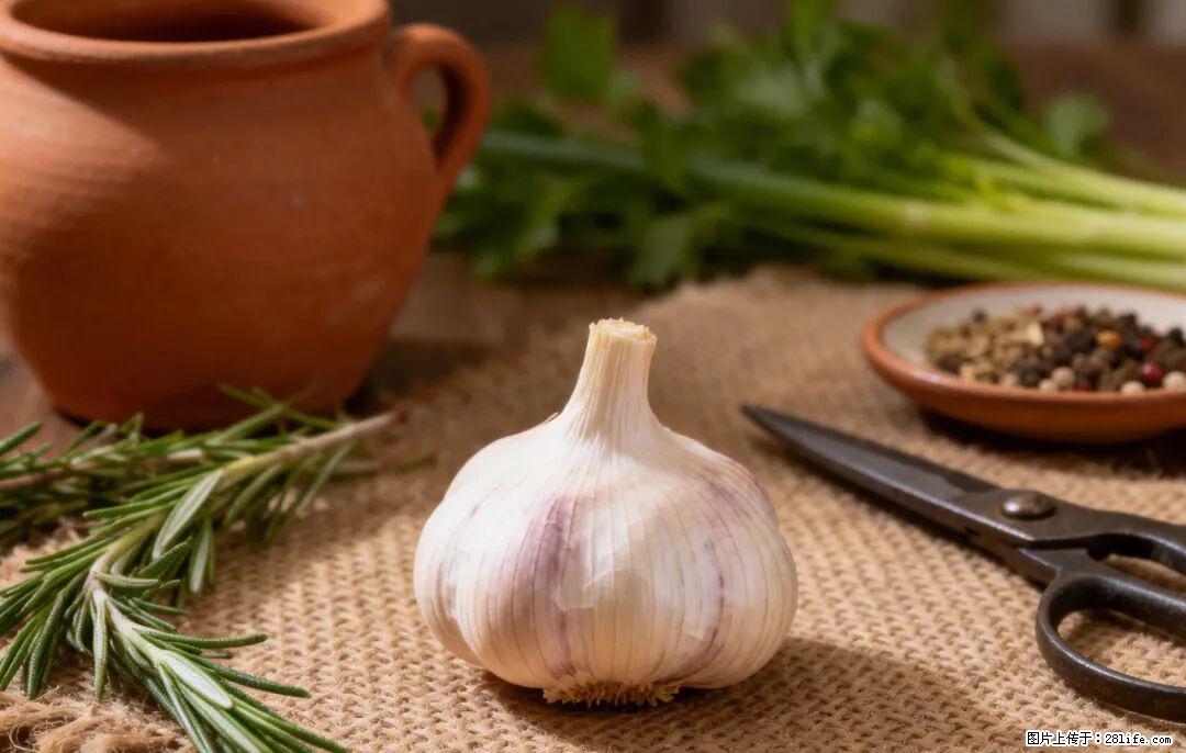 关于大蒜,除了“天然抗生素”,这4个谣言更该警惕! - 池州生活资讯 - 池州28生活网 chizhou.28life.com