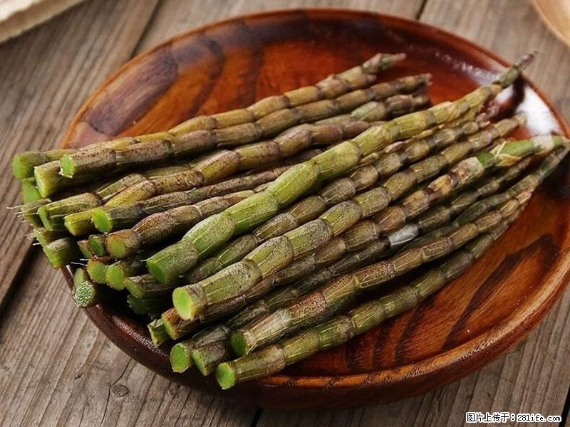 铁皮石斛的作用与功能主治 - 池州生活资讯 - 池州28生活网 chizhou.28life.com